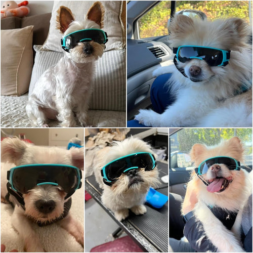 Dog Sunglasses for Small Dogs I UV400 Protective