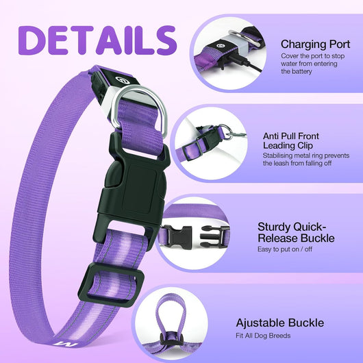 LED Dog Collar I Rechargeable Waterproof