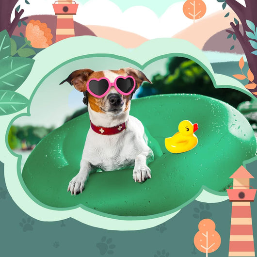 Small Dog Heart Sunglasses UV Protection Goggles