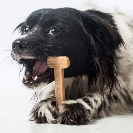 Dental Nylon Dog Chew Toy with Bacon Flavor
