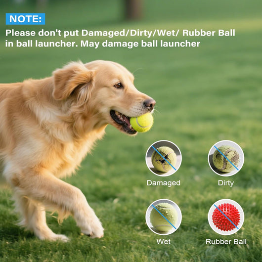 Automatic Ball Launcher | Mini Dog Fetch Machine