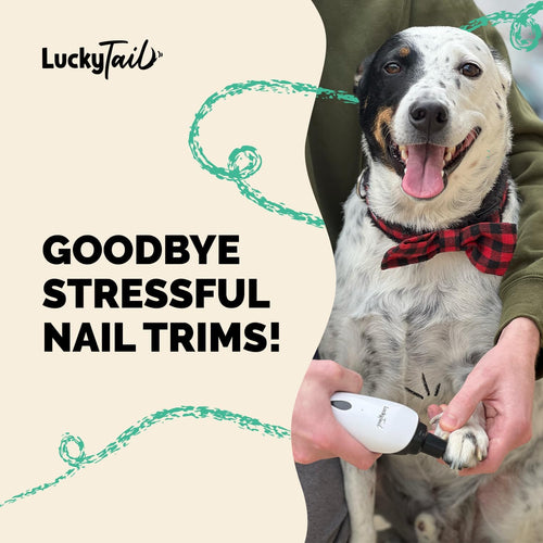 Silent LED Dog Nail Grinder