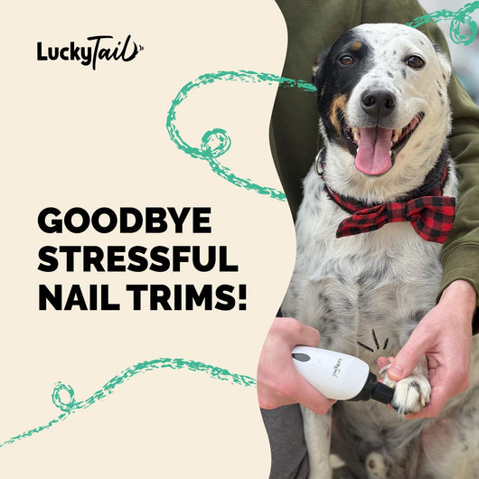Silent LED Dog Nail Grinder