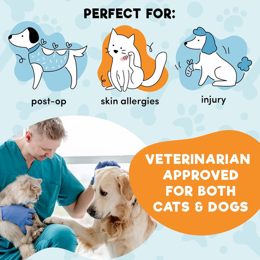 Inflatable Dog Cone Collar | Soft Donut Recovery