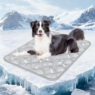 Dog lying on grey Arc-Chill cooling mat