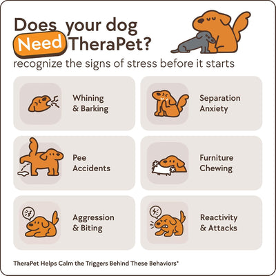 Dog Calming Diffuser Kit For Anxiety Relief