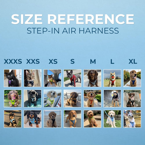 No Pull Step-In Dog Harness
