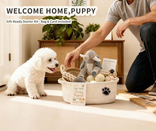 Puppy Starter Gift Basket I Essential Toy Collection