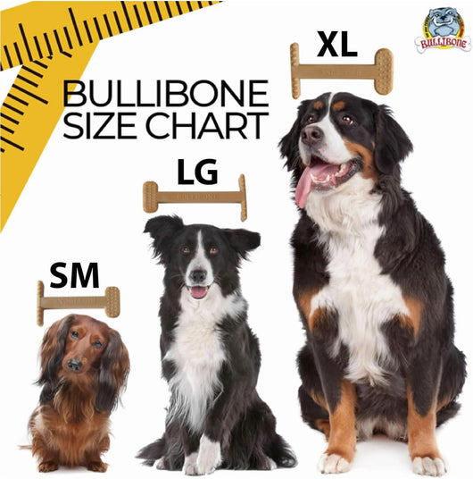 Dental Nylon Dog Chew Toy with Bacon Flavor