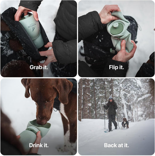 Collapsible Dog Water Bottle with Travel Bowl