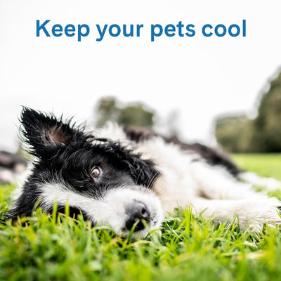 Cooling Dog Mat For Large Breeds