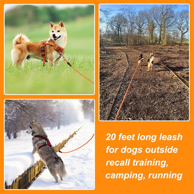 Leash Floating Recall Freedom For Active Dogs