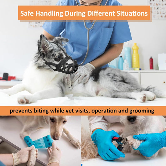 Humane Basket Dog Muzzle for Safe Training