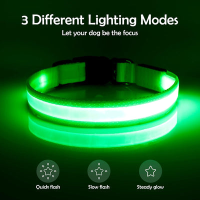 LED USB Rechargeable Safety Dog Collar