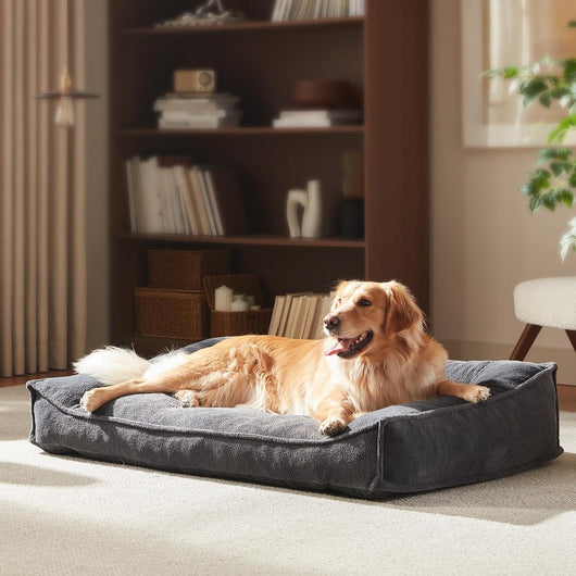 Orthopedic Dog Bed I XL Supportive Couch