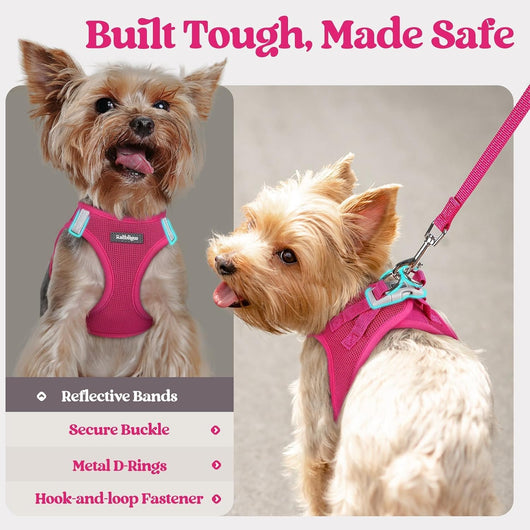 Step In Puppy Harness With Leash Walking Set