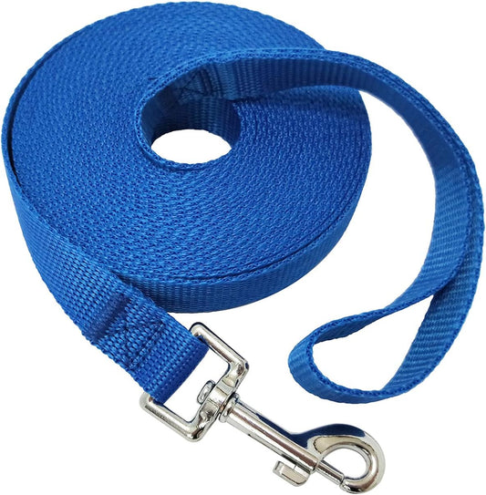 Training Leash giving a large dog space to explore