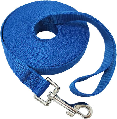 Training Leash giving a large dog space to explore
