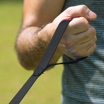 Leash Recall Training Freedom For Active Dogs