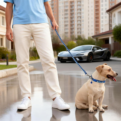 Puppy Collar Leash Set For Small Dogs