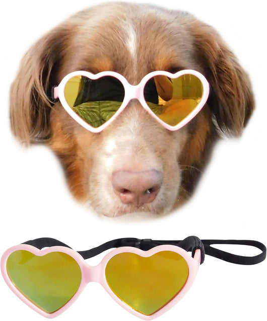 Medium Dog Heart Sunglasses Costume Photo Props