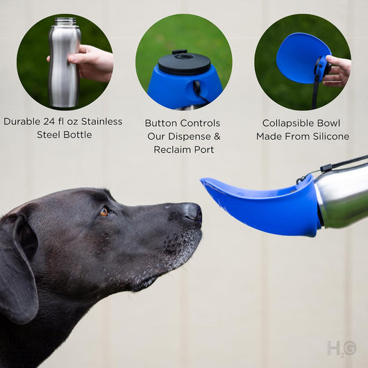 Dog Water Bottle with Collapsible Travel Bowl