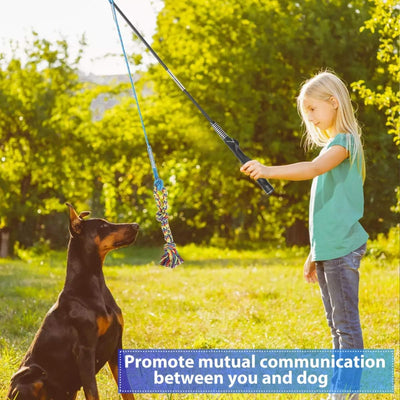 Interactive Dog Flirt Pole for Chase Training