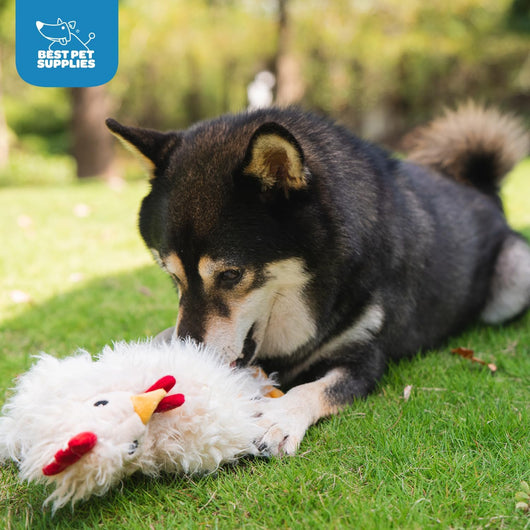 Crinkle Squeaky Plush Dog Toy