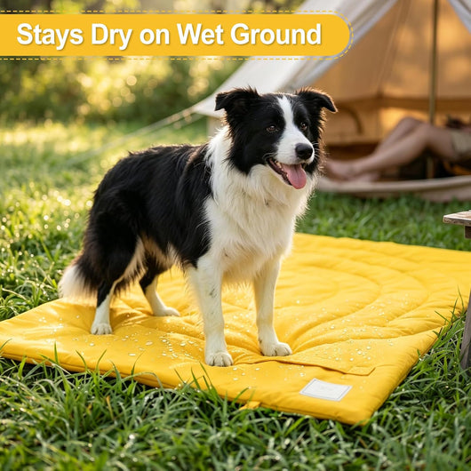 Large dog resting on waterproof portable bed at outdoor campsite
