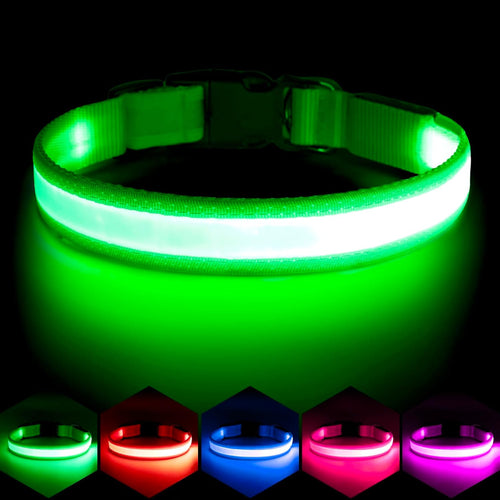 LED USB Rechargeable Safety Dog Collar