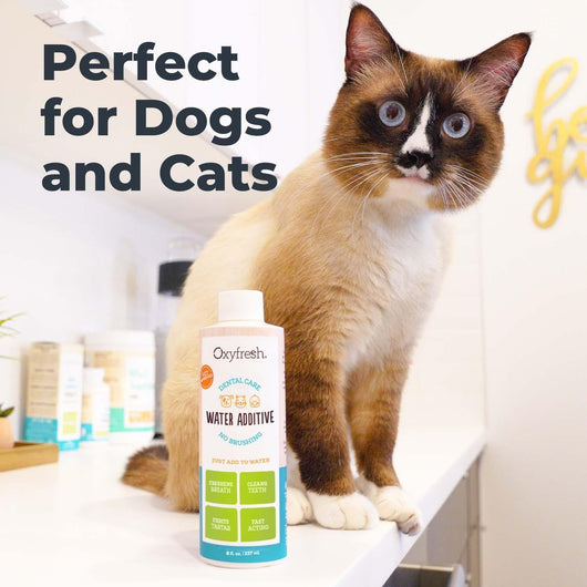 Dog Dental Water Additive for Fresh Breath