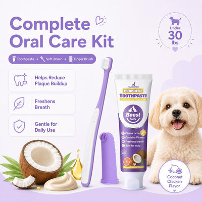 Small Dog Toothbrush Kit With Dental Toothpaste