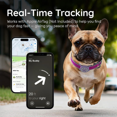Dog Collar with AirTag Holder I Waterproof