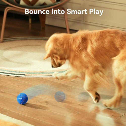 Cheerble Wicked Ball AIR Smart Dog Toy