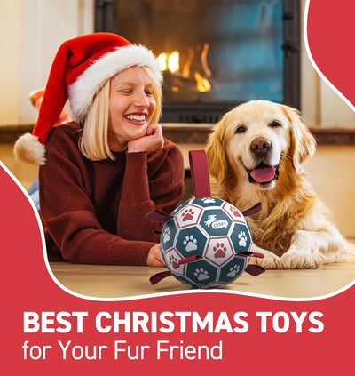 QDAN Dog Soccer Ball 6" I Toy for Small & Medium Dogs