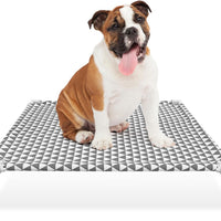 Elevated Outdoor Dog Bed With Cotton Surface