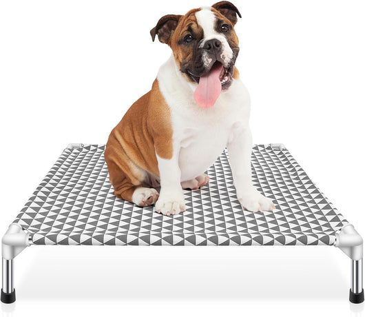 Medium elevated outdoor dog bed with breathable cotton surface and steel frame