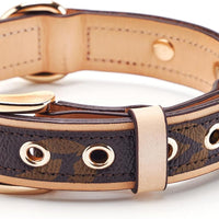 Leather Dog Collar | Soft Padded Durable Adjustable Collar