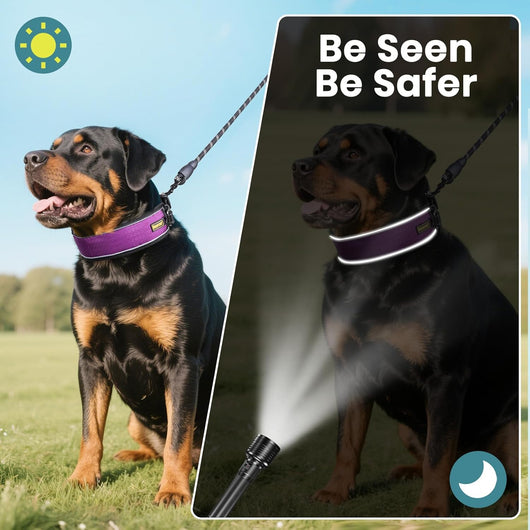 Adjustable Martingale Training Collar, Reflective I Waterproof