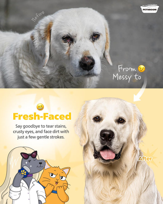 Gentle Puppy Eye Comb For Tear Stain Cleaning