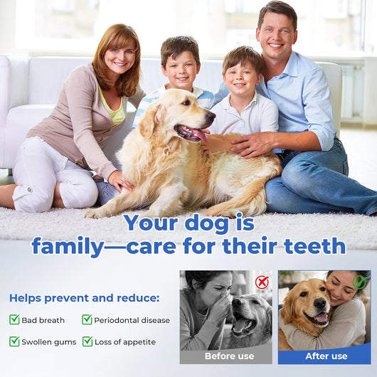 Ultrasonic Dog Toothbrush & Dental Kit