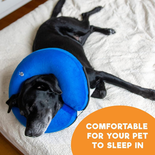 Inflatable Dog Cone Collar | Soft Donut Recovery
