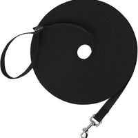 Leash Recall Training Freedom For Active Dogs