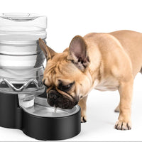 Automatic Dog Water Dispenser