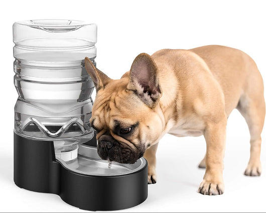 Automatic Dog Water Dispenser