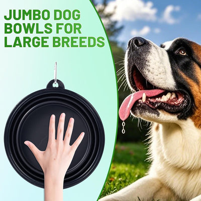 Extra Large Collapsible Dog Bowl 2-Pack