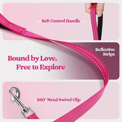 Step In Puppy Harness With Leash Walking Set
