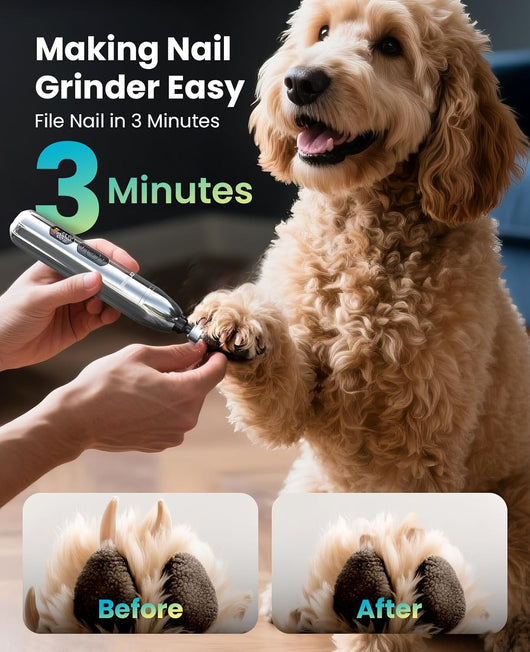 Complete Dog Grooming Clipper Kit