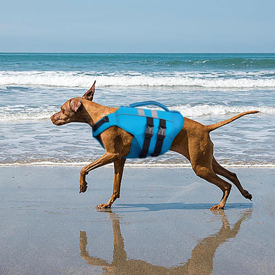 Dog Life Jacket High Flotation – Reflective Waterproof Dog Swim Vest with Rescue Handle for Small, Medium & Large Dogs