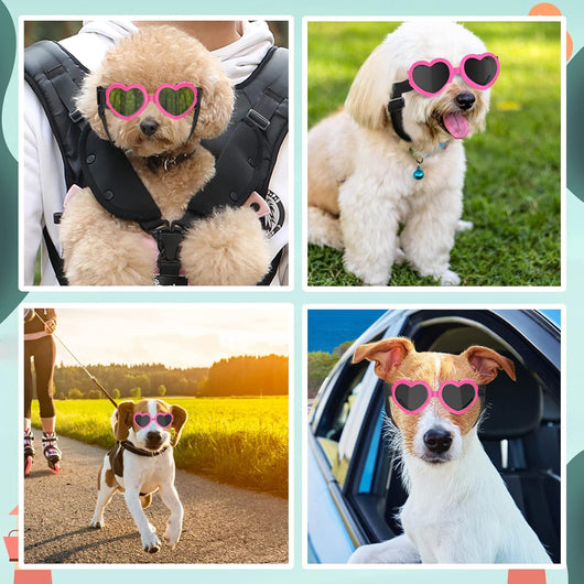 Small Dog Heart Sunglasses UV Protection Goggles